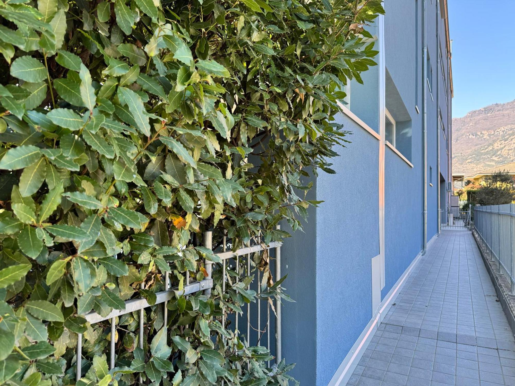 La Dolce Vita Arco Esterno foto